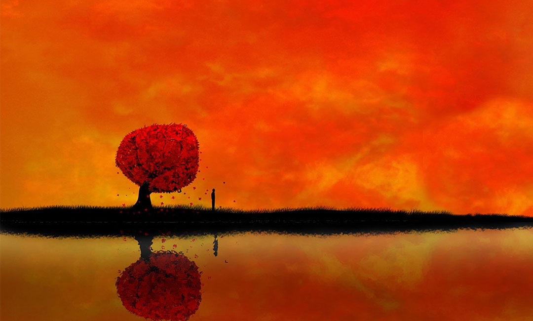 河东笙影微信朋友圈转发案例